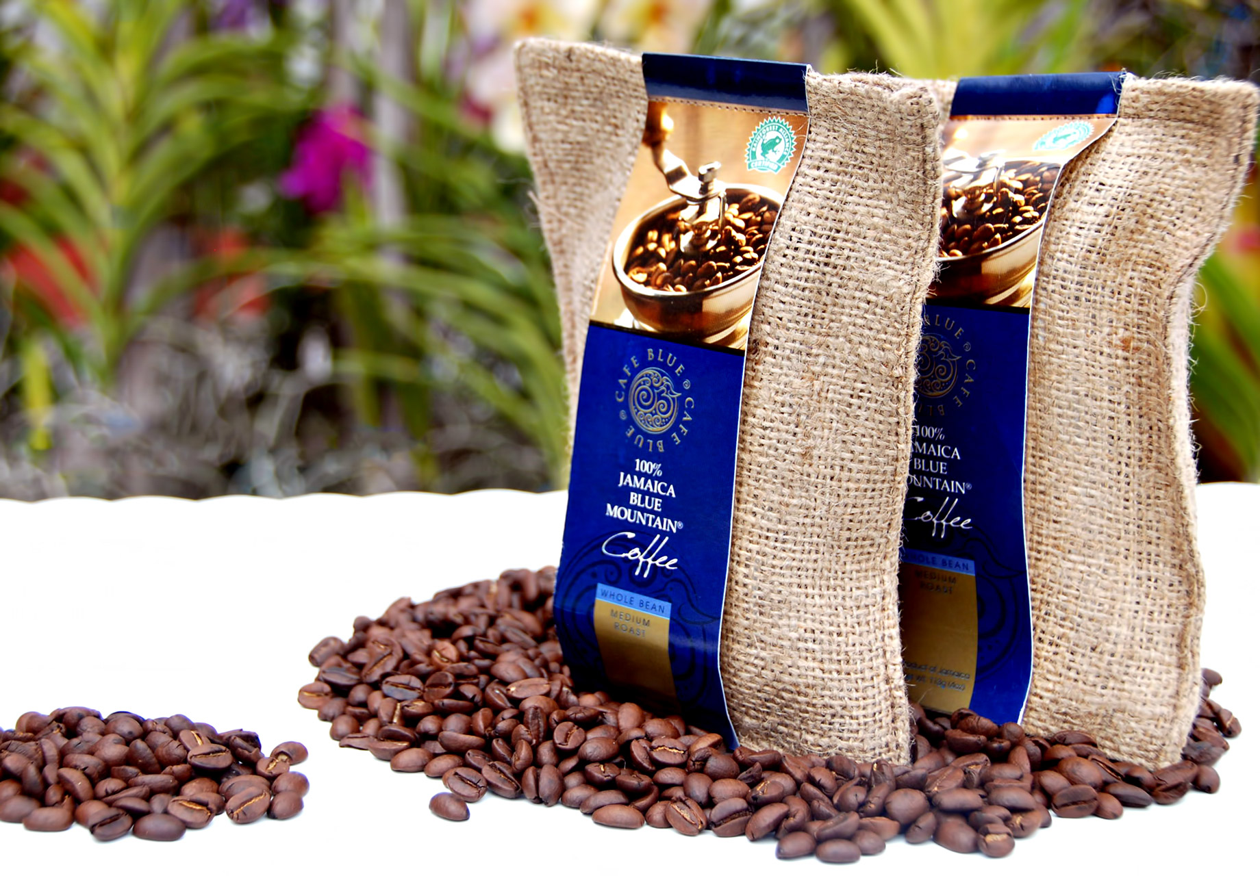 10 Most Expensive Coffees In The World