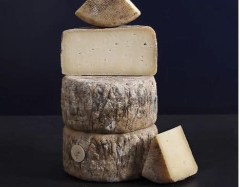 10 Most Expensive Cheeses In The World