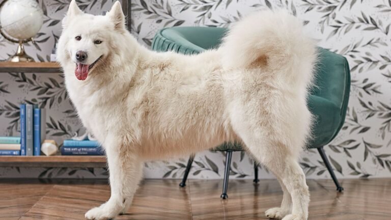 Most Expensive Dog Breeds in the World 2026: Top 10 Ranked